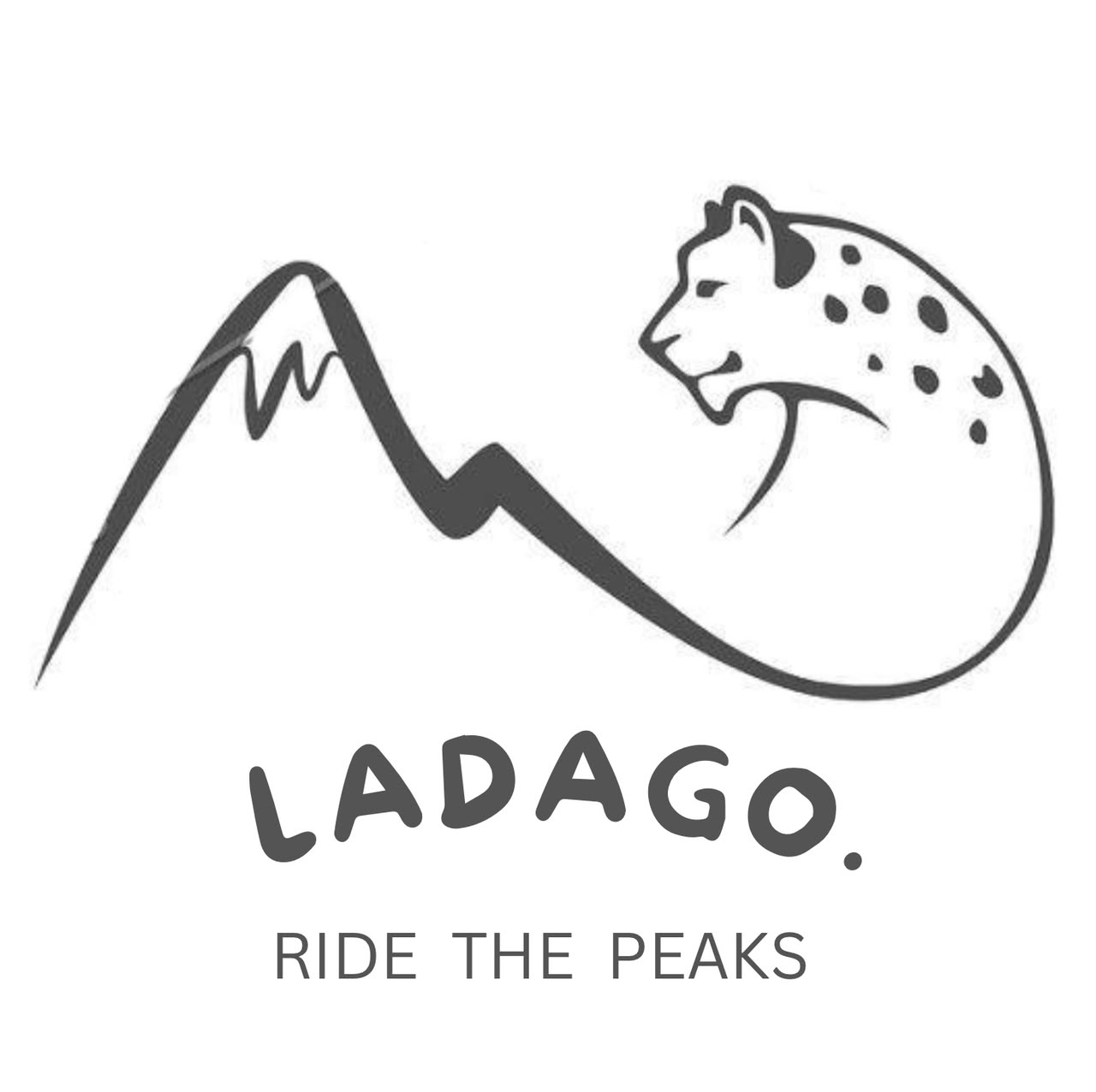 Road trip in Ladakh